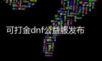 可打金dnf公益服发布网网（寻找一款可打金的DNF发布网游戏）