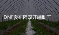 DNF发布网双开辅助工具（dnf辅助能双开吗）