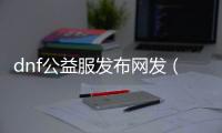 dnf公益服发布网发（dnf公益服发布网违法吗）