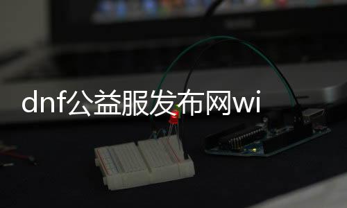 dnf公益服发布网win10能用吗（dnf100公益服发布网）