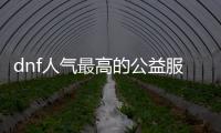 dnf人气最高的公益服发布网直播（热门游戏dnf的公益服发布网直播推荐）